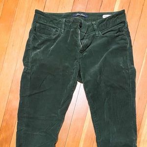 Forest corduroy pant